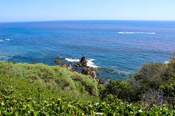a gorgeous summer landscape at the beach with deep blue ocean water and a lush green hillside and...