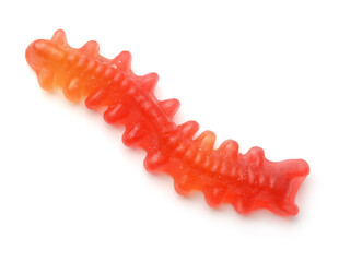 Top view of red jelly worm