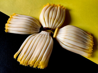 Four set of uncooked banana florets isolated on black and yellow background, Copyspace