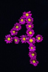 text arranged by purple daisies flowers, black background

N