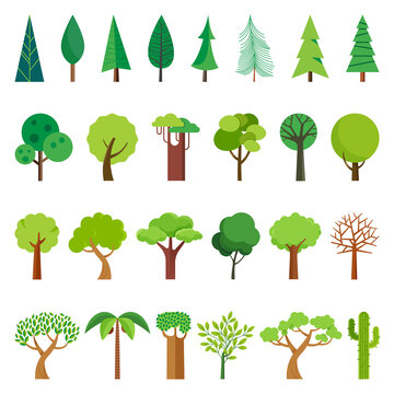 Cartoon tree. Simple flat forest flora, coniferous and deciduous meadow trees, oak pine Christmas tree isolated plants. Vector set illustration agricultural garden and nature park plant