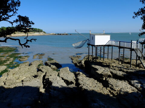 Saint-Palais-sur-Mer, bords de Gironde