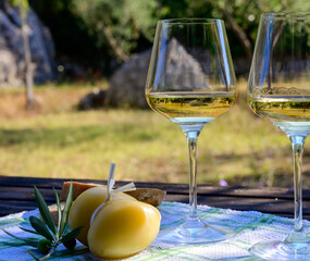 Summer picnic or lunch with tasting of white wine in olive tree groves in Lazio, Italy