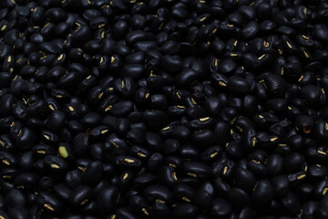 Group of cereals, healthy food, rich vitamin b, fibre, rich carbohydrates and protein, use grain everyday can help lose weight, reduce calories, prevent cancer and antioxidant, this food very cheap