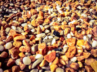 background of nuts