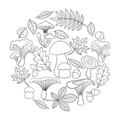 Coloring page with mushrooms and autumn leaves