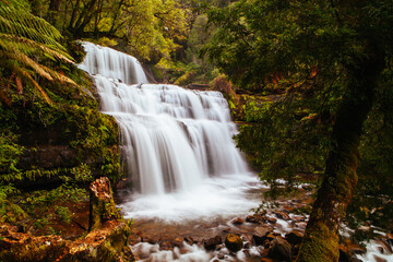 Fototapeta na wymiar Liffey Falls in Tasmania Australia