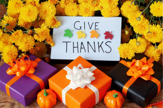Creative colorful present box. Thanksgiving autumn composition with yellow flower. Lightbox with the phrase Give thanks.