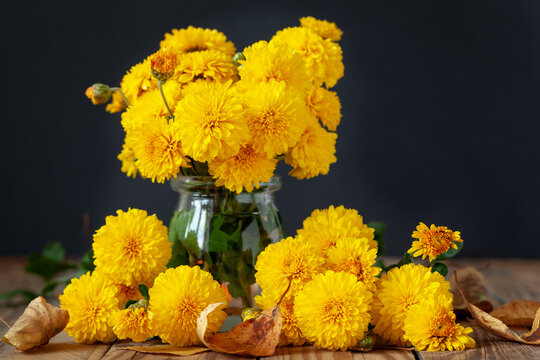 Bouquet of beautiful yellow chrysanthemums on wood table on black background.