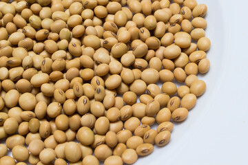 Group of cereals, healthy food, rich vitamin b, fibre, rich carbohydrates and protein, use grain everyday can help lose weight, reduce calories, prevent cancer and antioxidant, this food very cheap