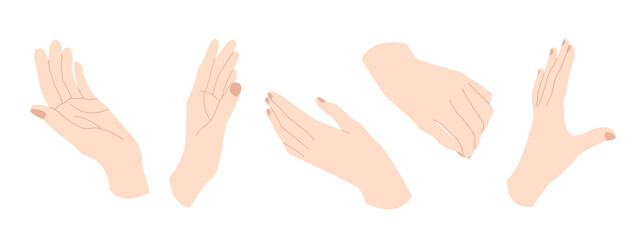 Woman's hands. Hand gestures in different positions. Vector flat cartoon illustration. Perfect for print, cosmetics or manicure branding
