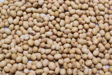 Group of cereals, healthy food, rich vitamin b, fibre, rich carbohydrates and protein, use grain everyday can help lose weight, reduce calories, prevent cancer and antioxidant, this food very cheap