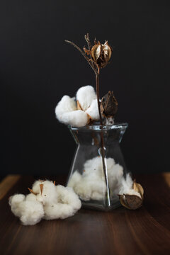 high contrasted in low-key lightning photo of a cotton flowers in a vase over the black background