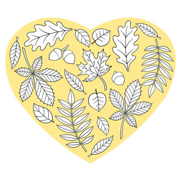 recommend clip art: Coloring page with autumn leaves