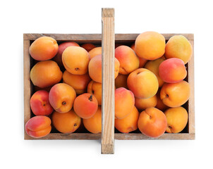 Delicious ripe apricots in wooden crate isolated on white, top view