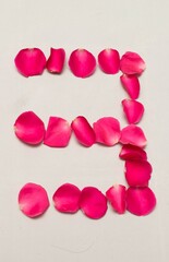 Red rose petals heart. Isolated on white background