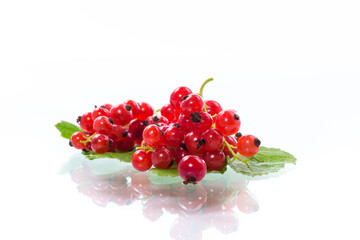 ripe summer berry red currant isolated on white