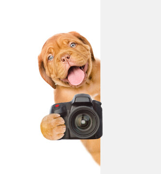Dog photographer taking pictures from behind empty white banner. isolated on white background