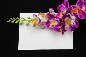 Orchid and white card with a place for a congratulatory text on a black background