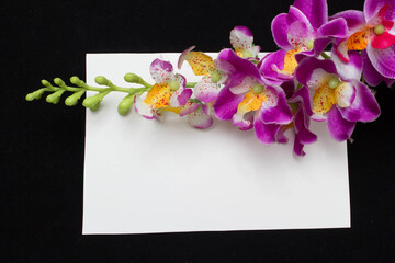 Orchid and white card with a place for a congratulatory text on a black background