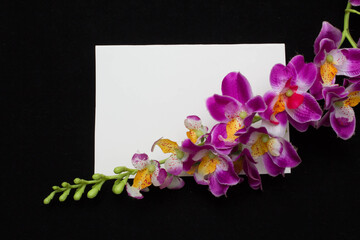 Orchid and white card with a place for a congratulatory text on a black background
