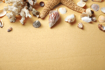 Fototapeta na wymiar Different beautiful sea shells on sand. Space for text
