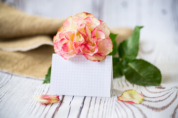 light pink rose with a blank card for text on a wooden