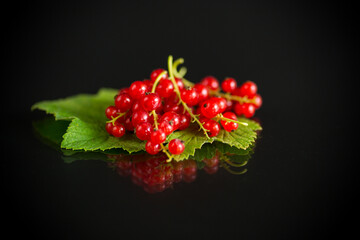 ripe summer berry red currant on a black
