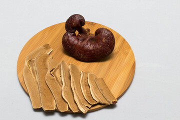 Lingzhi Mushroom Ganoderma Lucidum Isolated on white background
