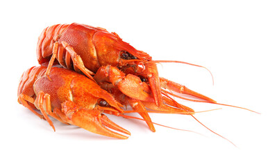 Delicious red boiled crayfishes isolated on white