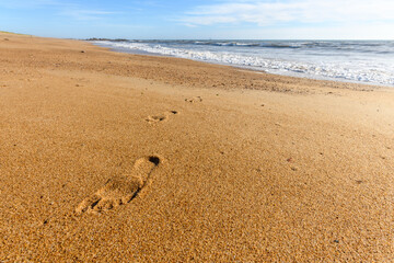 Footprints in the sand of a beach.