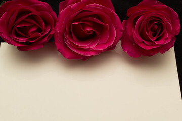 red roses and white card with a place for a congratulatory text on a black background