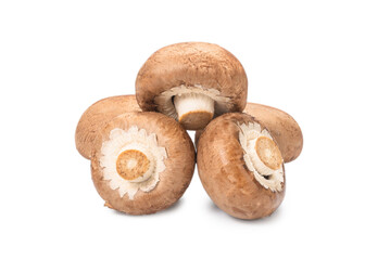 Tasty mushroom isolated on white background.