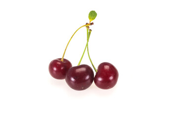 Sweet ripe cherry with leaves