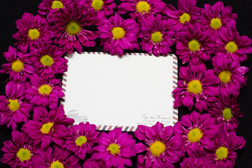 purple daisies and white card with a place for a congratulatory text on a black background