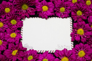purple daisies and white card with a place for a congratulatory text on a black background