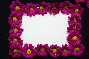purple daisies and white card with a place for a congratulatory text on a black background