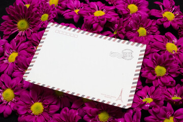 purple daisies and white card with a place for a congratulatory text on a black background