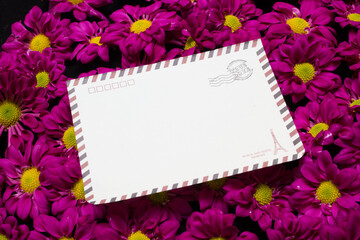 purple daisies and white card with a place for a congratulatory text on a black background