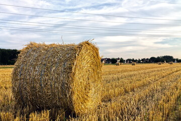 Strohballen auf Feld