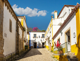 Fototapeta na wymiar Streets of beautiful medieval village Obidos in centre of Portugal
