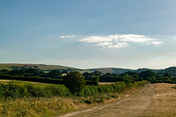 Meadow foothpath leading to Old Harry Rock, Dorset, southern England