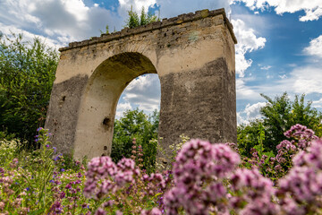 Fototapeta na wymiar A beautiful arch under the open sky on the territory of the castle..