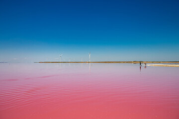 Fototapeta premium Beautiful pink lakes with salt water for treatment.