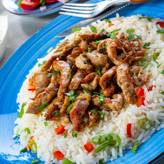 gyros with rice and green salad and zaziki