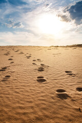 Beautiful desert landscape with dunes. Walk on a sunny day on the sands.