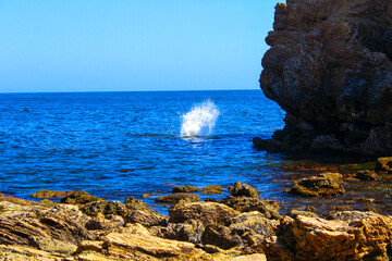 a teenage man splashing into the deep blue ocean water off the rocks at Little Corona Beach in...