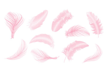 Fototapeta na wymiar Vector gold,pink ,silver feathers collection set on a white background.