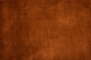 Fototapeta premium A fragment of bright ginger velveteen fabric.