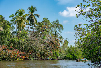 View of the Bentota Ganga river in the jungle on the island of Sri Lanka
